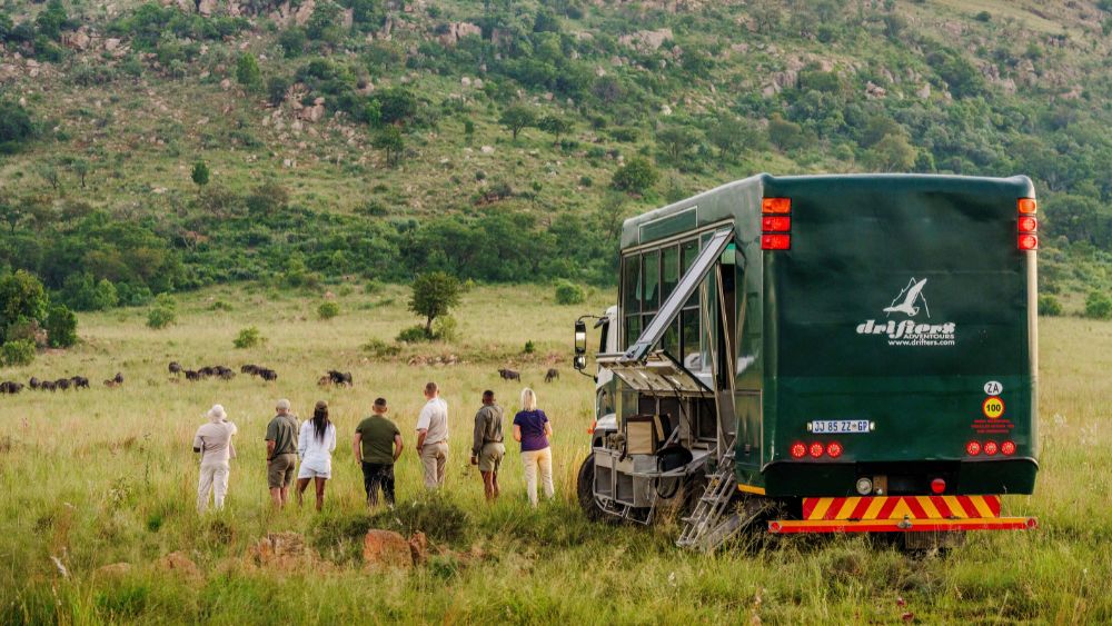drifters custom adventure truck/custom adventure truck stopped to view wildlife