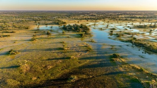 /african and indian ocean holiday images uploaded/botswana explorer tour/itinerary images 2024/botswana explorer tour similar image.webp