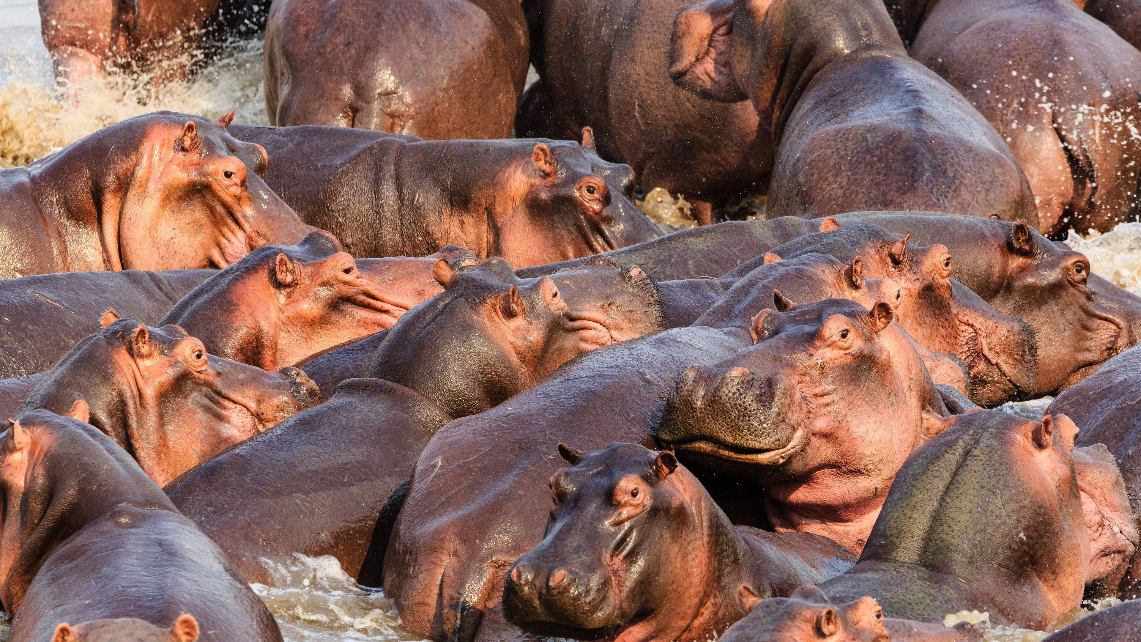 Africa Collection Holiday