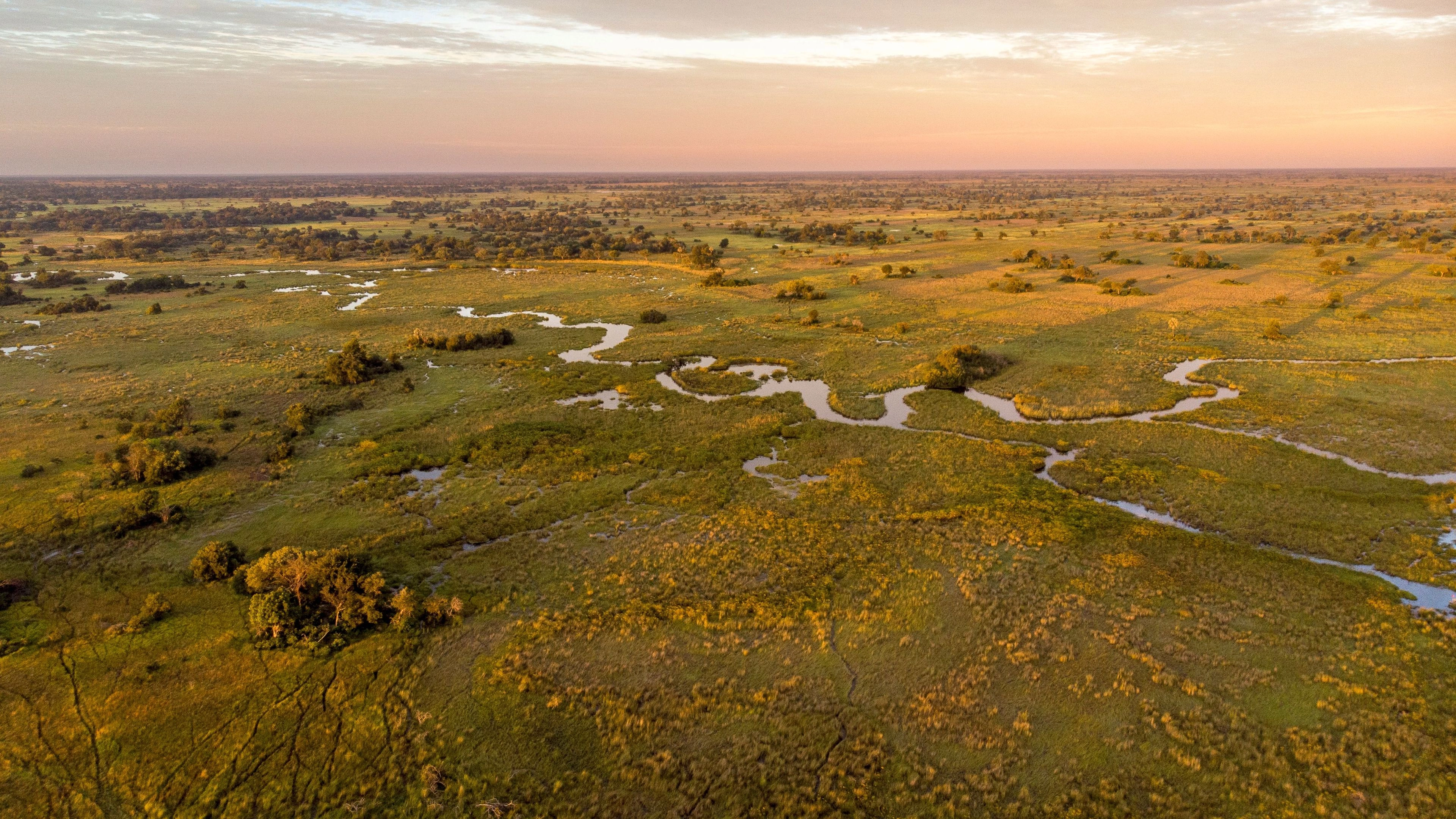 Africa Collection Holiday