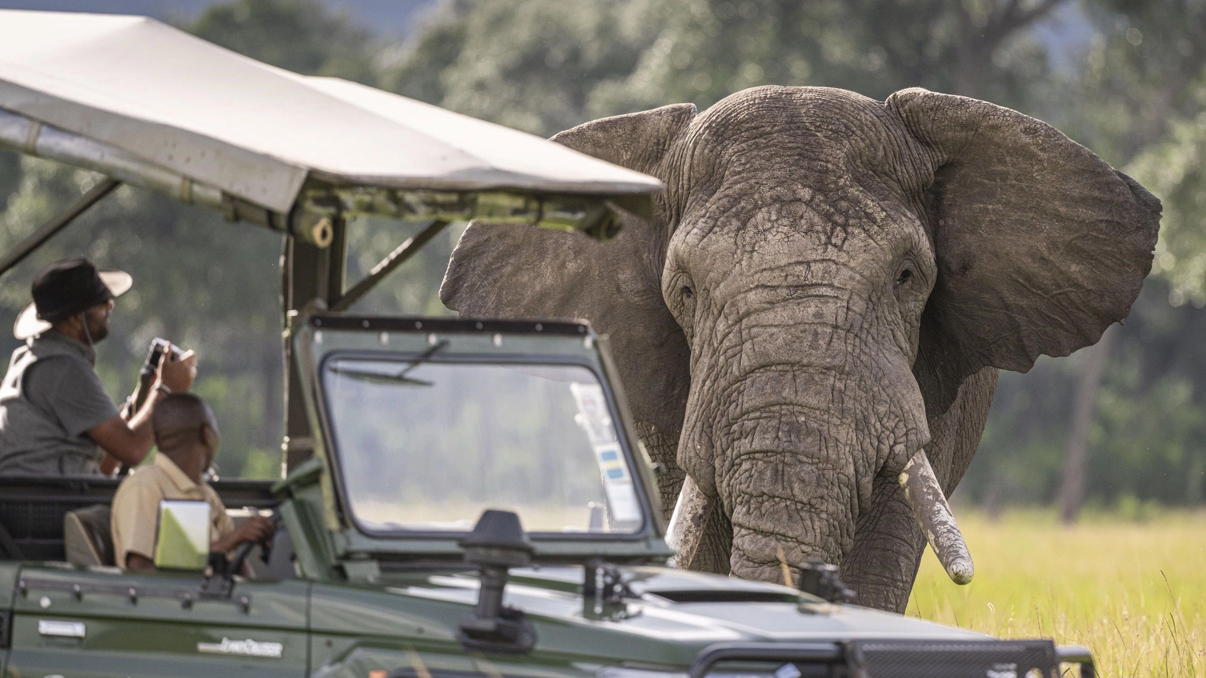 Africa Collection Holiday