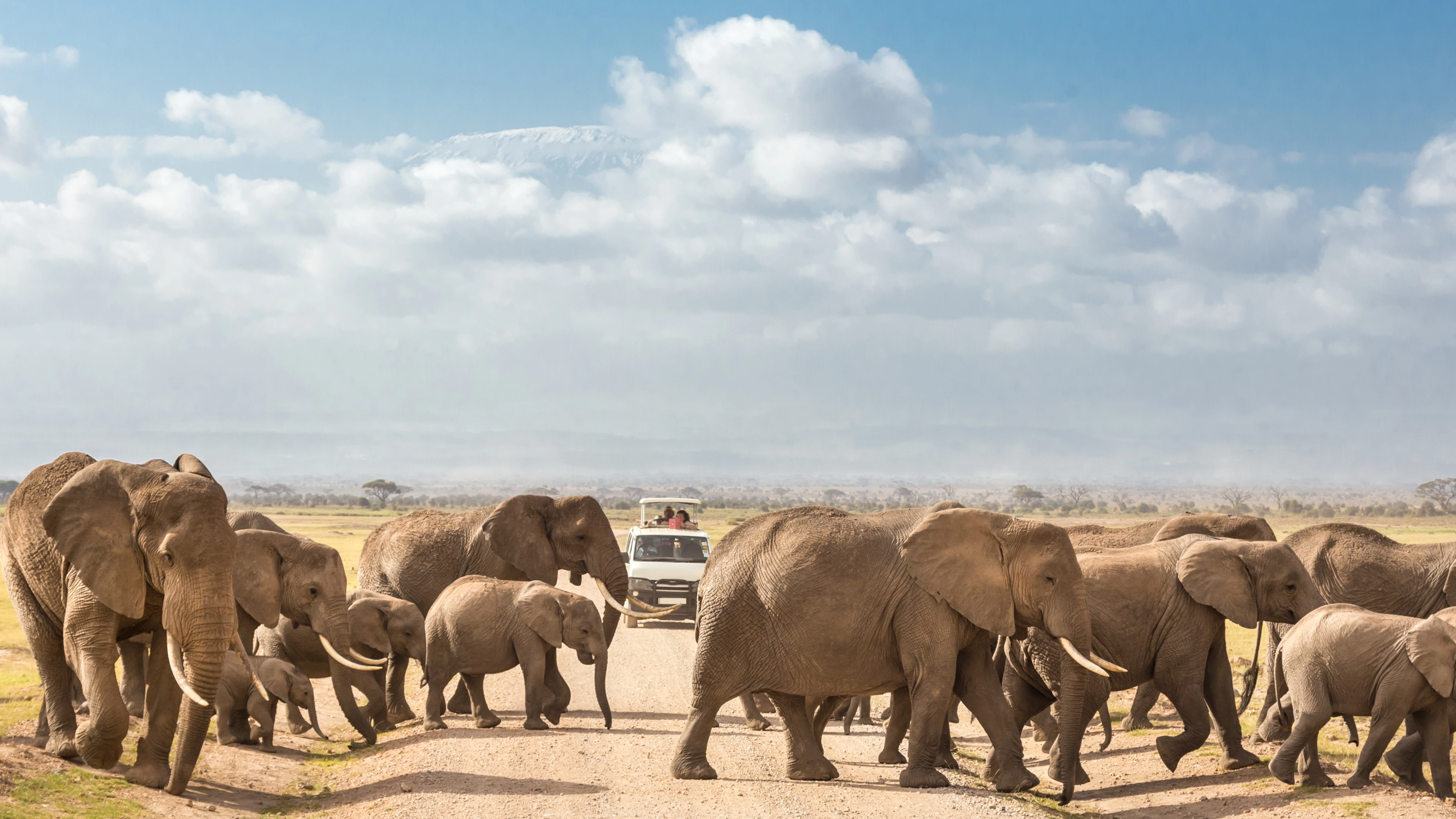 Africa Collection Holiday