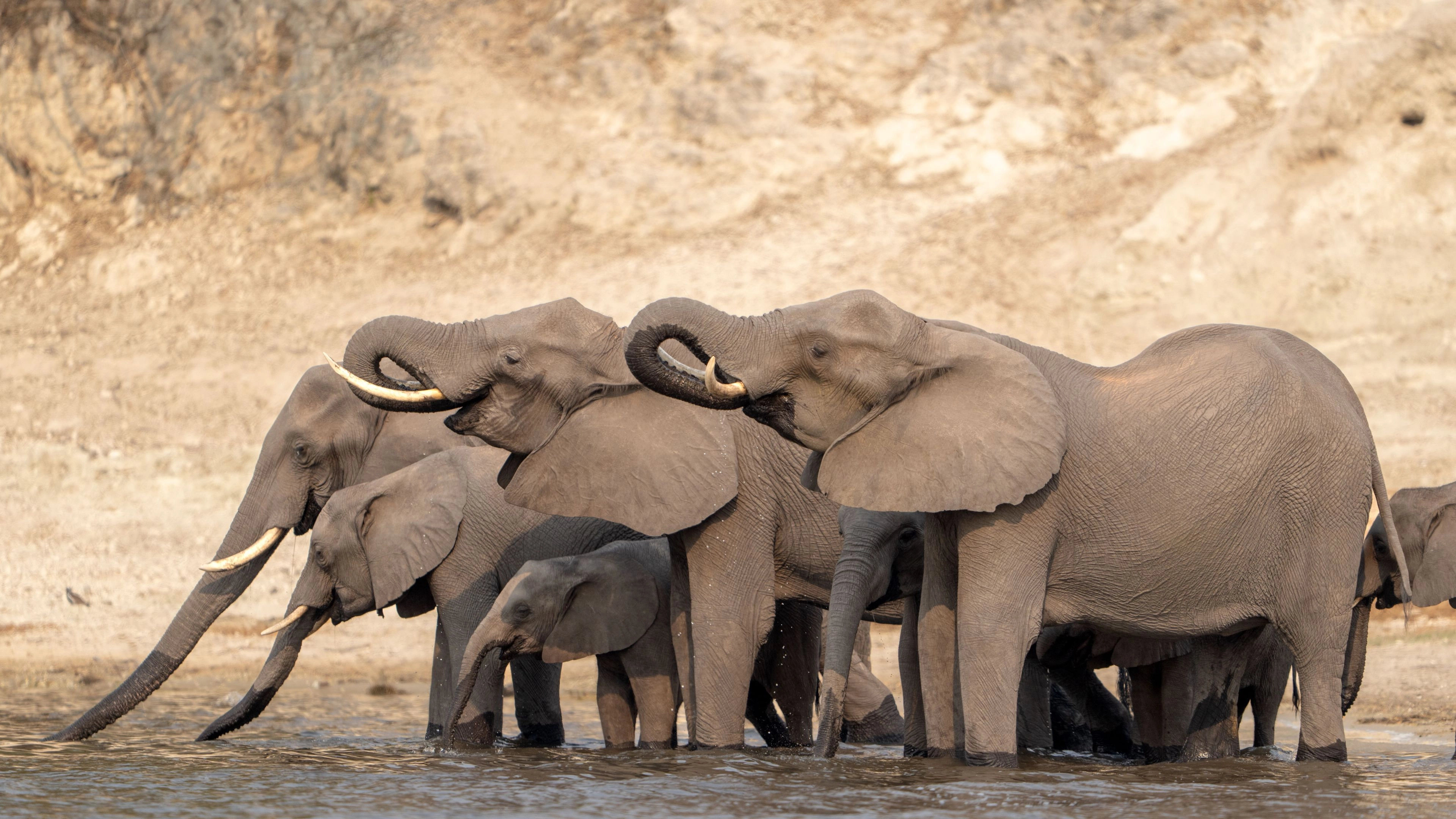 Africa Collection Holiday