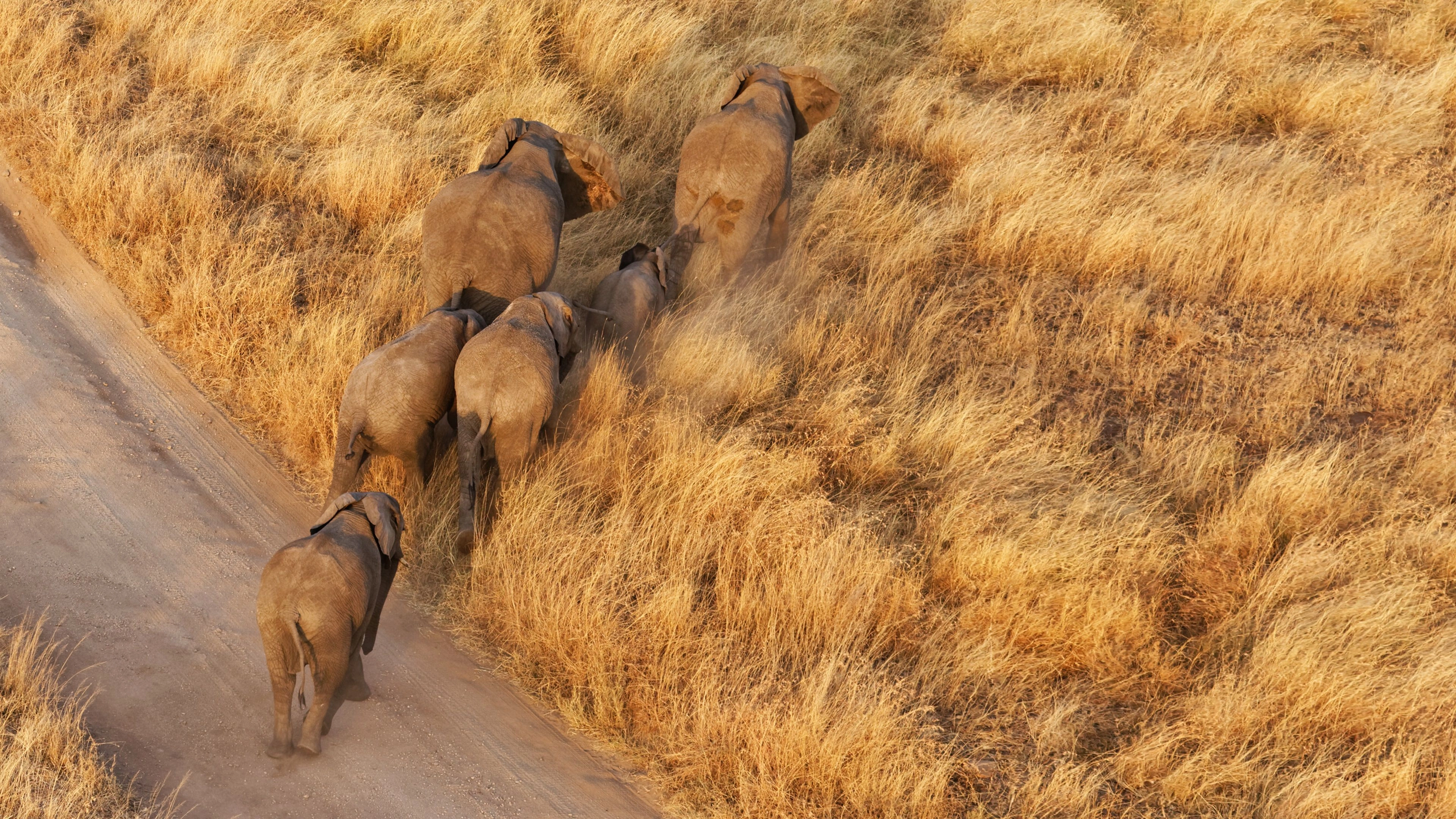 Africa Collection Holiday