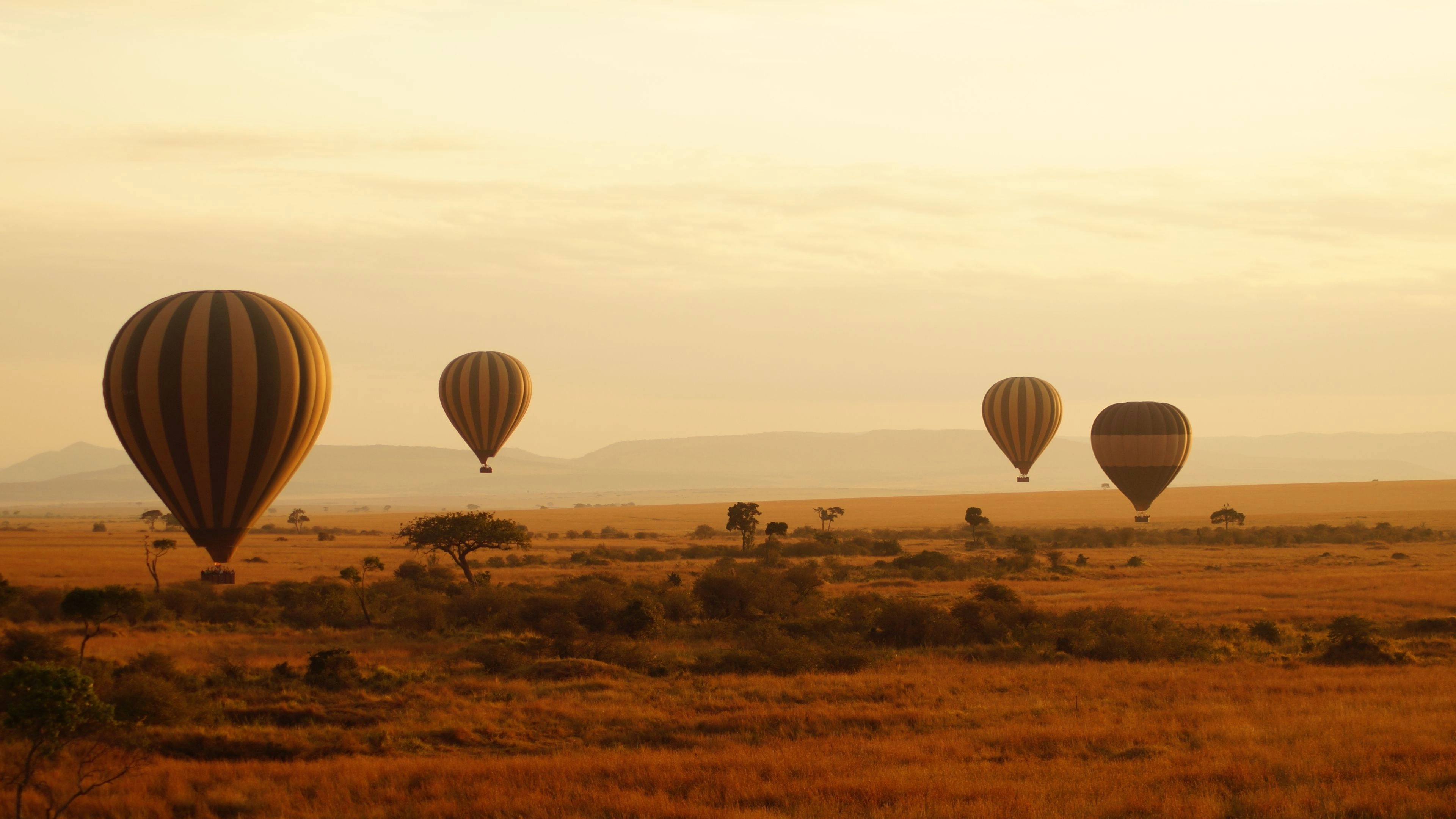 Africa Collection Holiday