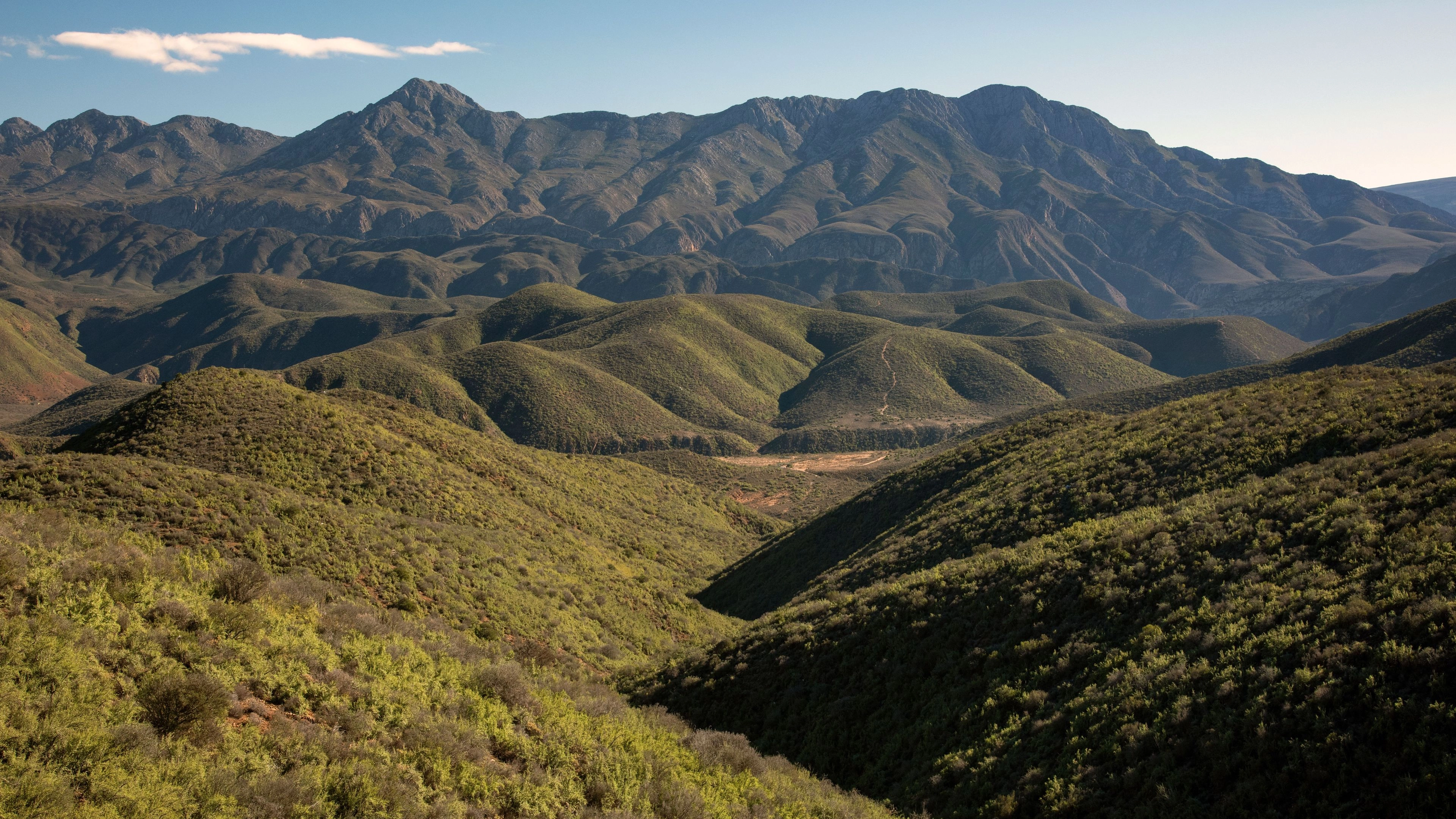 Africa Collection Holiday