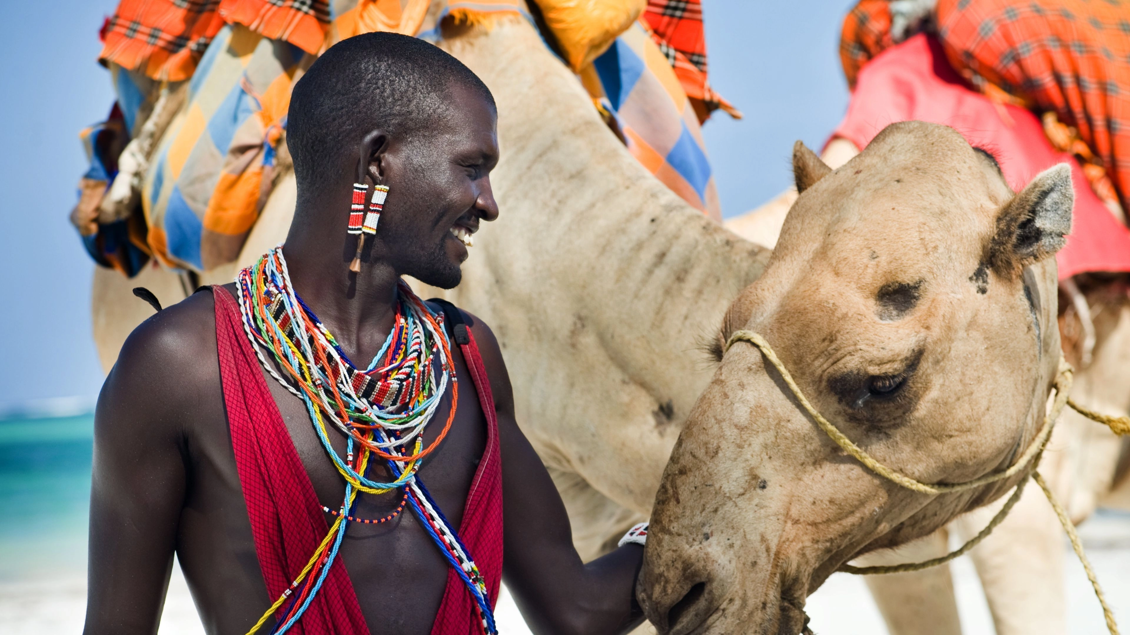 Africa Collection Holiday