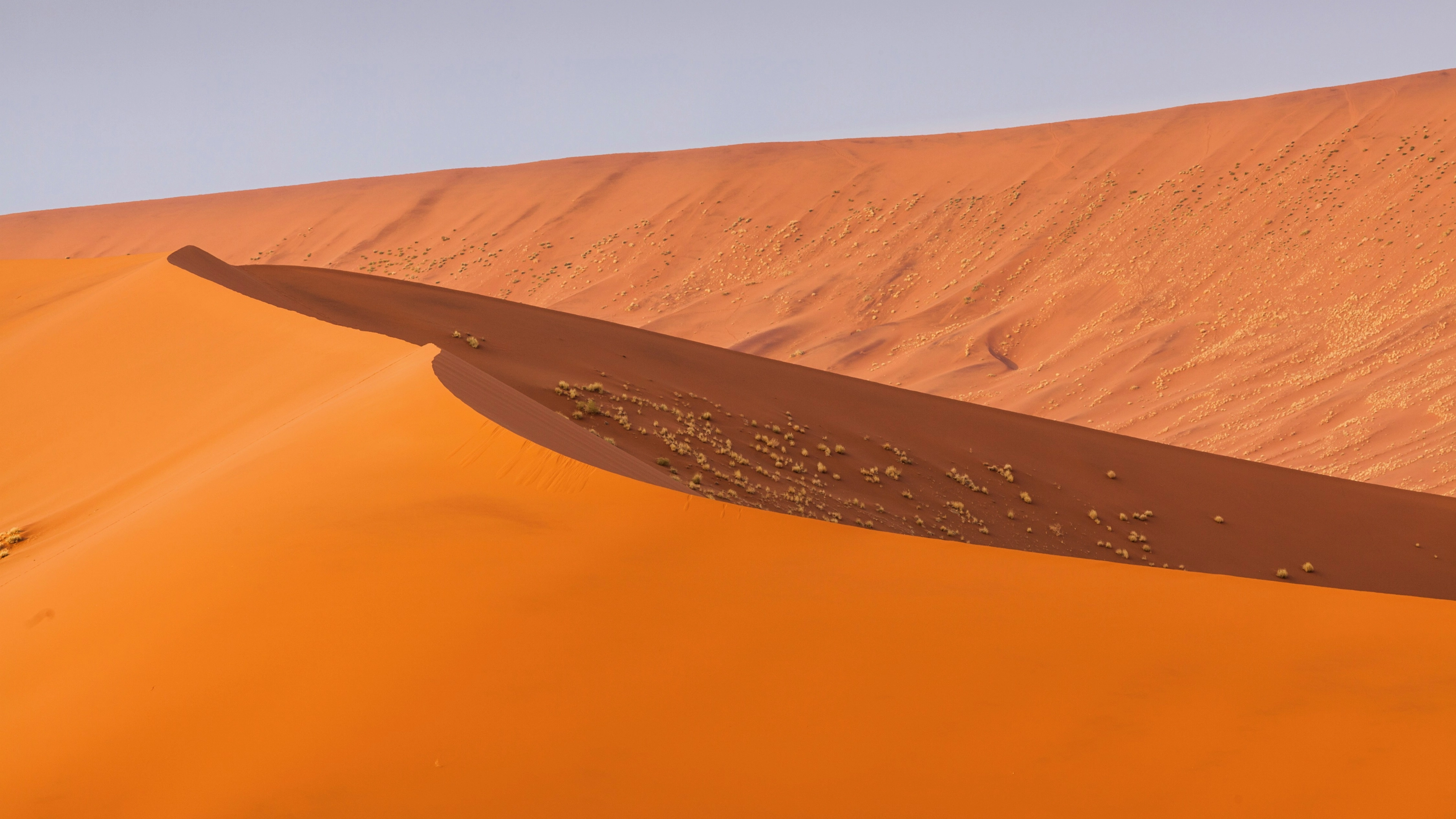 Africa Collection Holiday