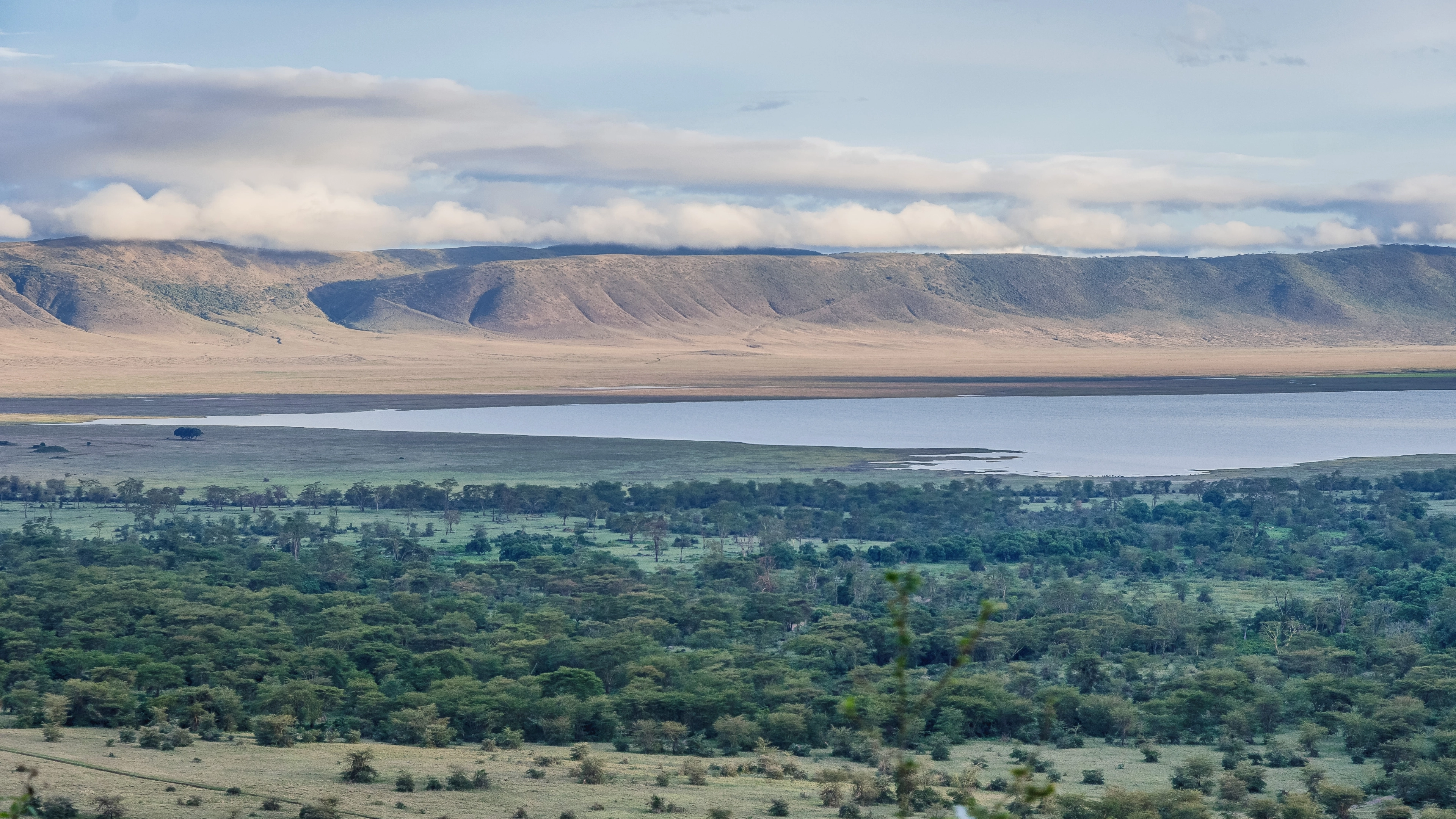 Africa Collection Holiday