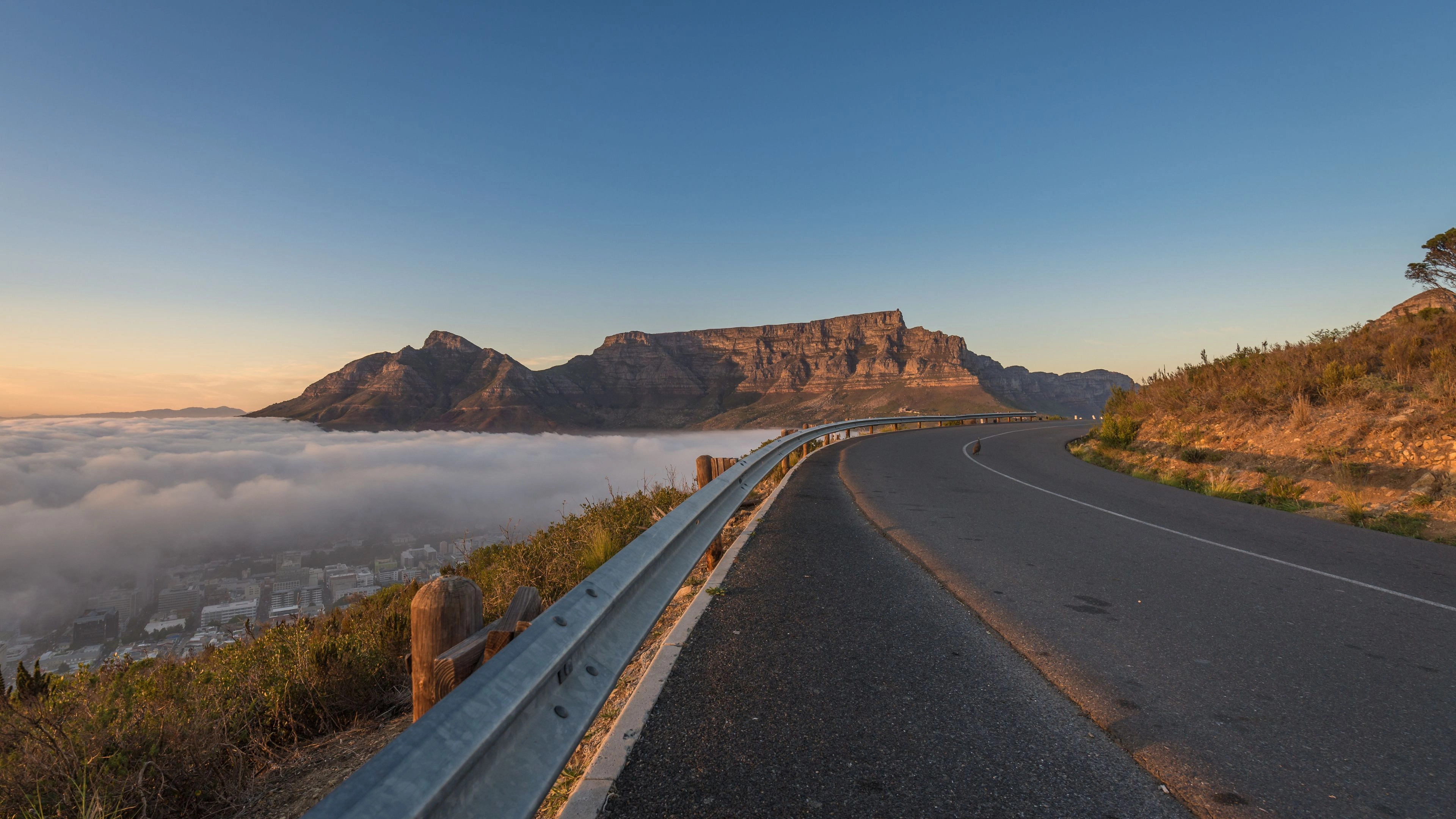 Africa Collection Holiday