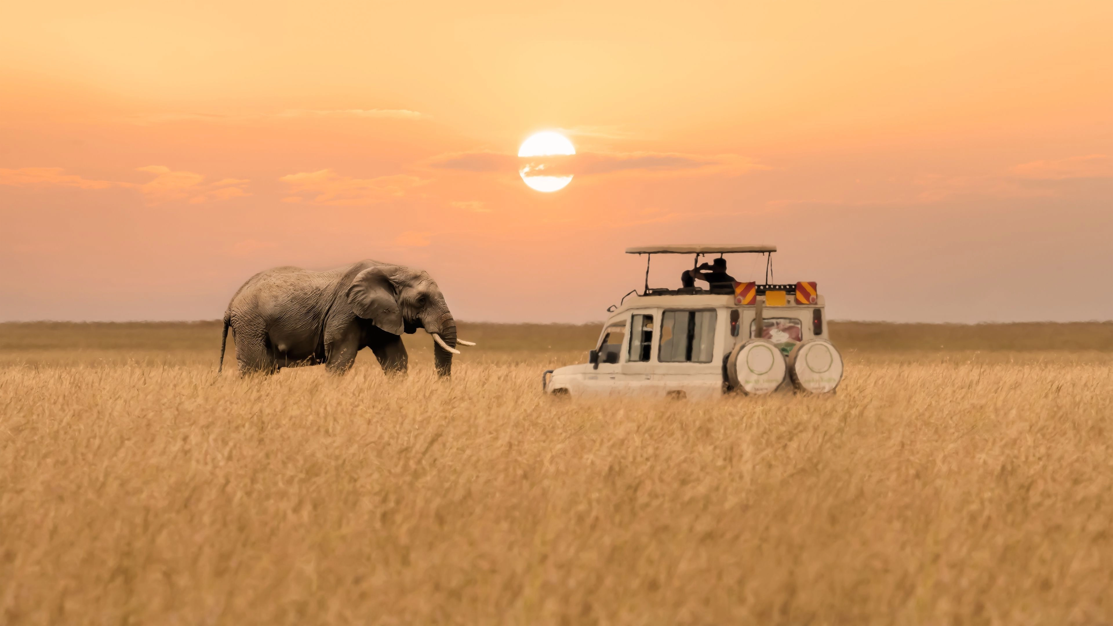 Africa Collection Holiday