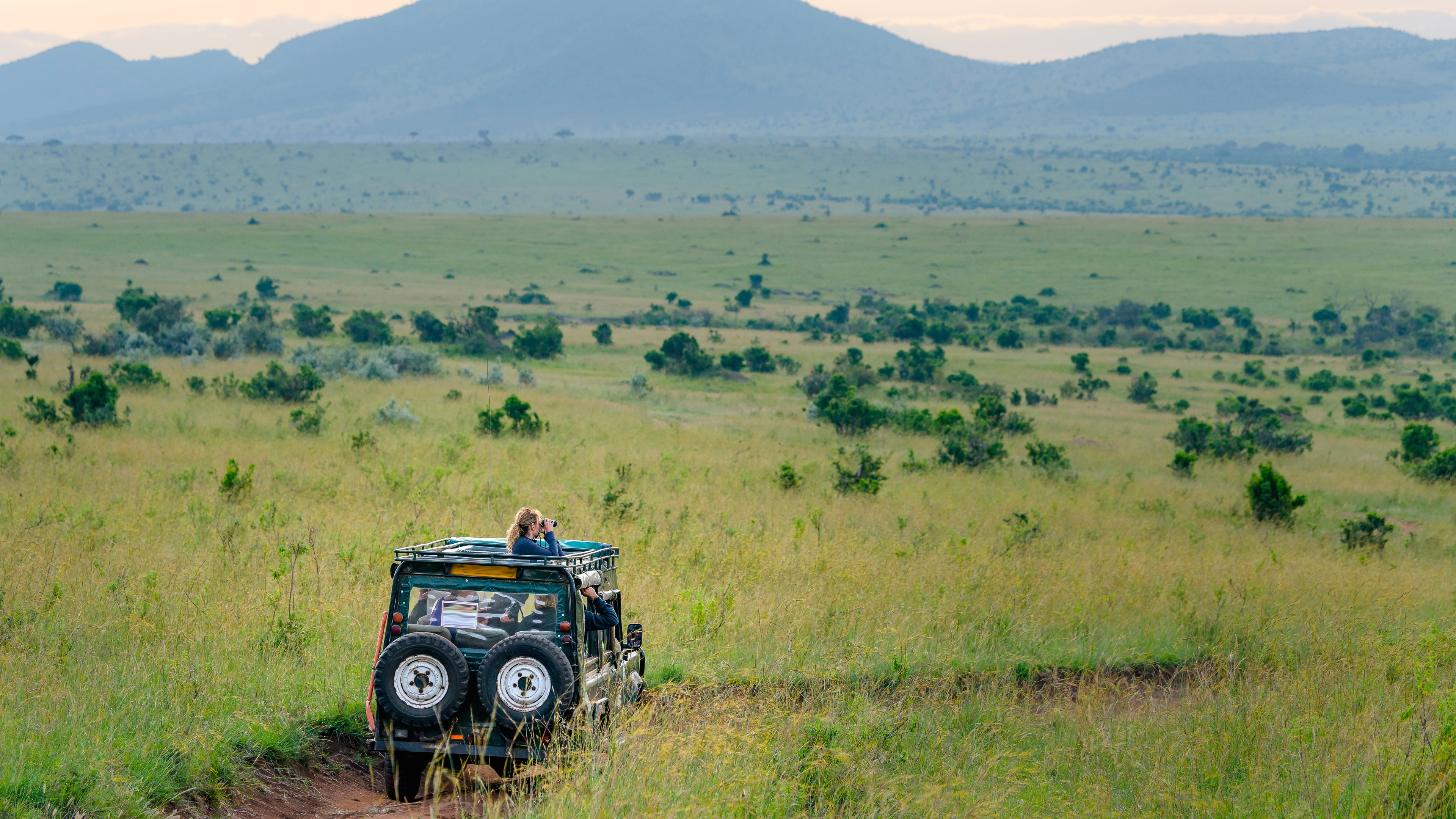 Africa Collection Holiday