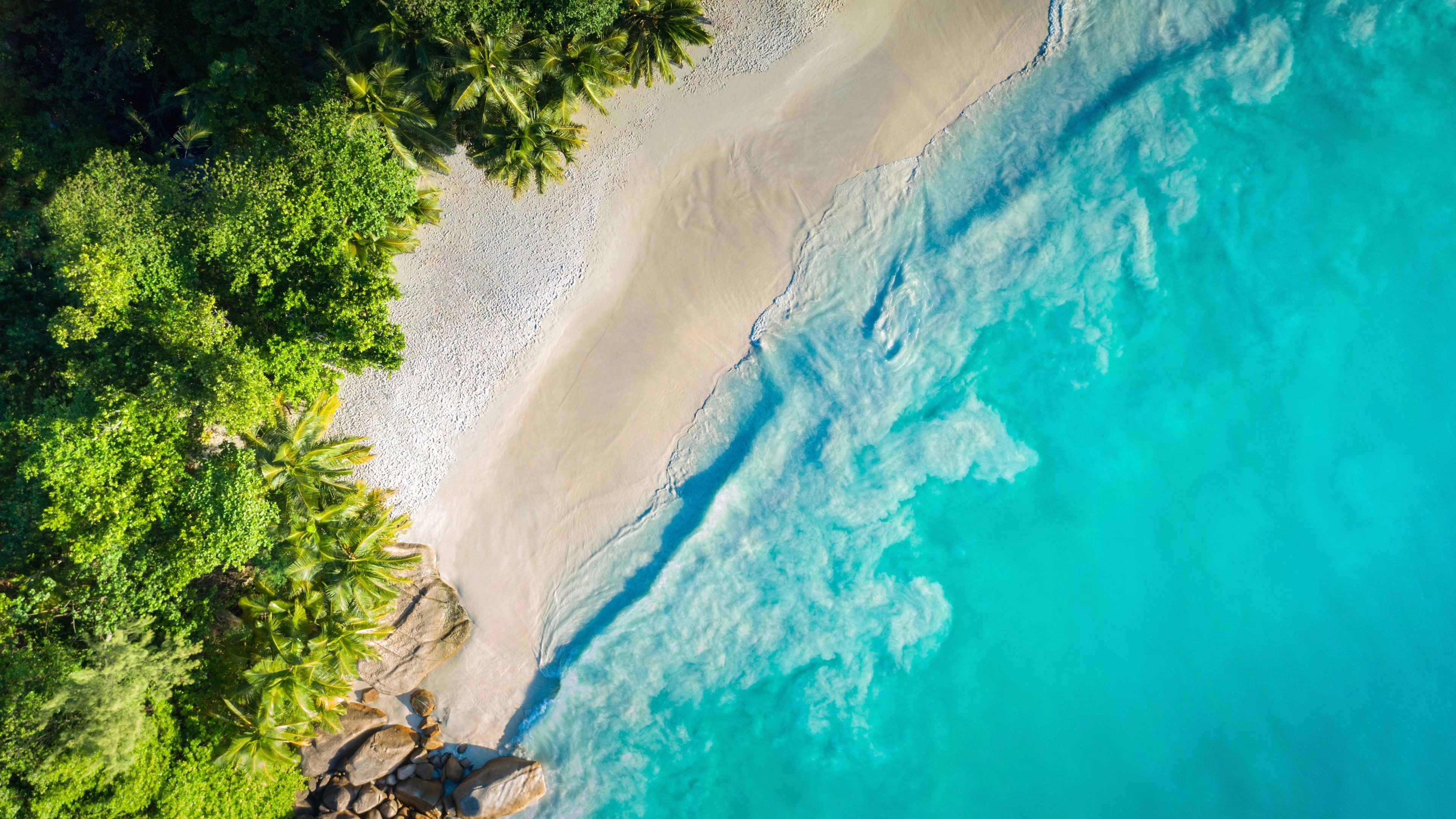 Africa Collection Holiday