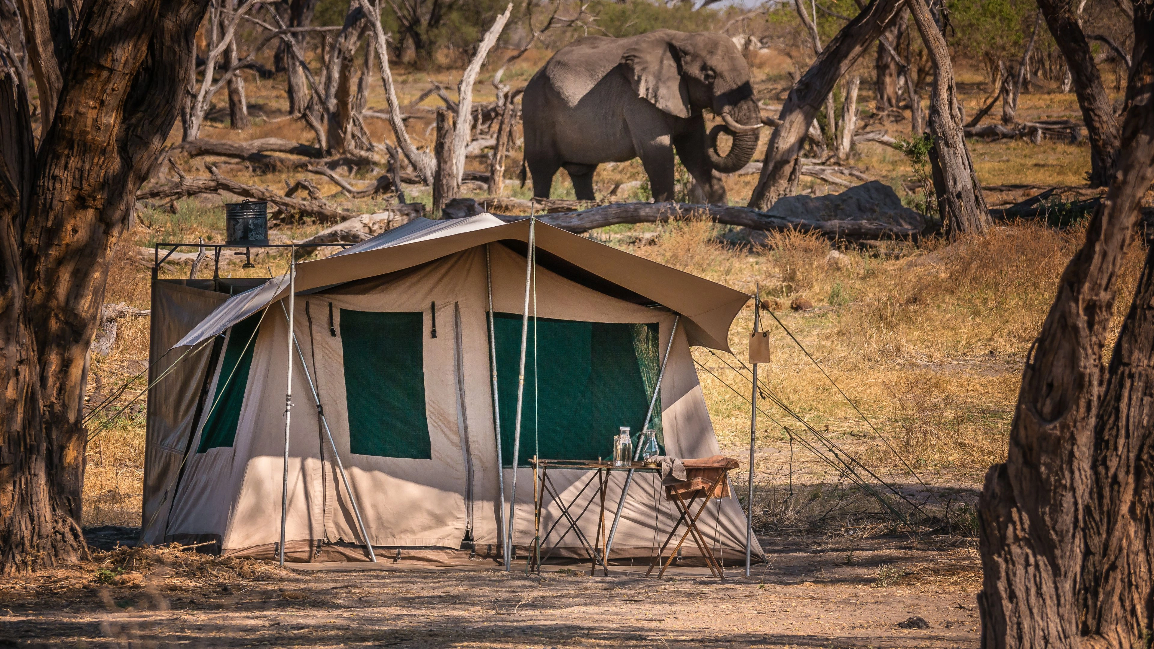 Africa Collection Holiday