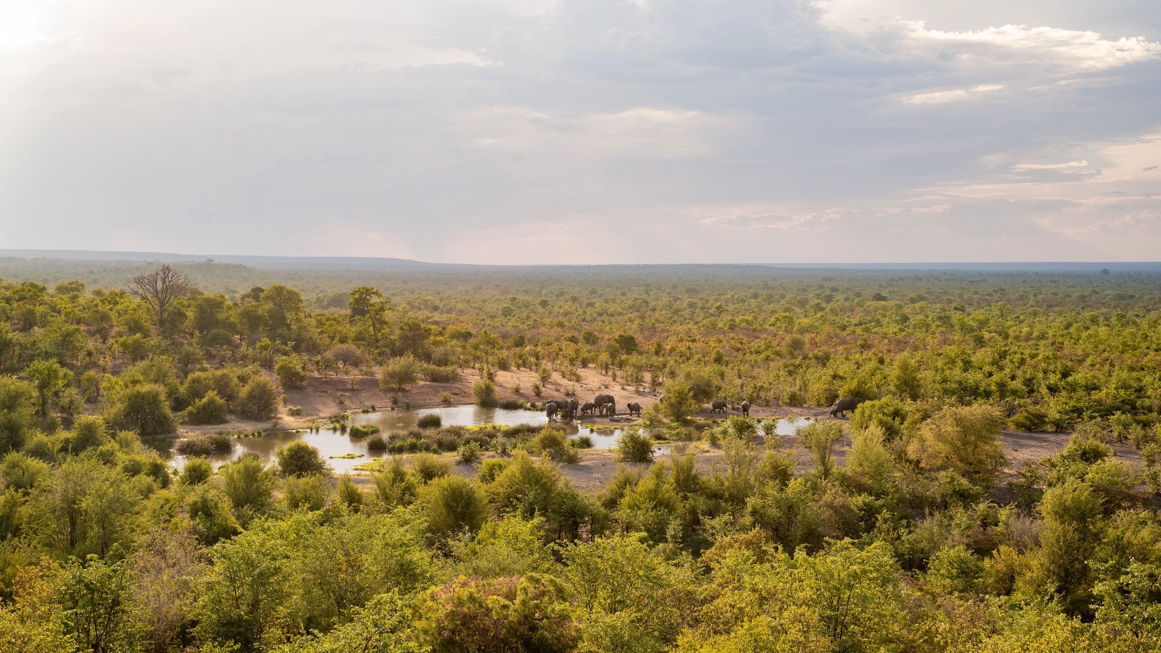 Africa Collection Holiday