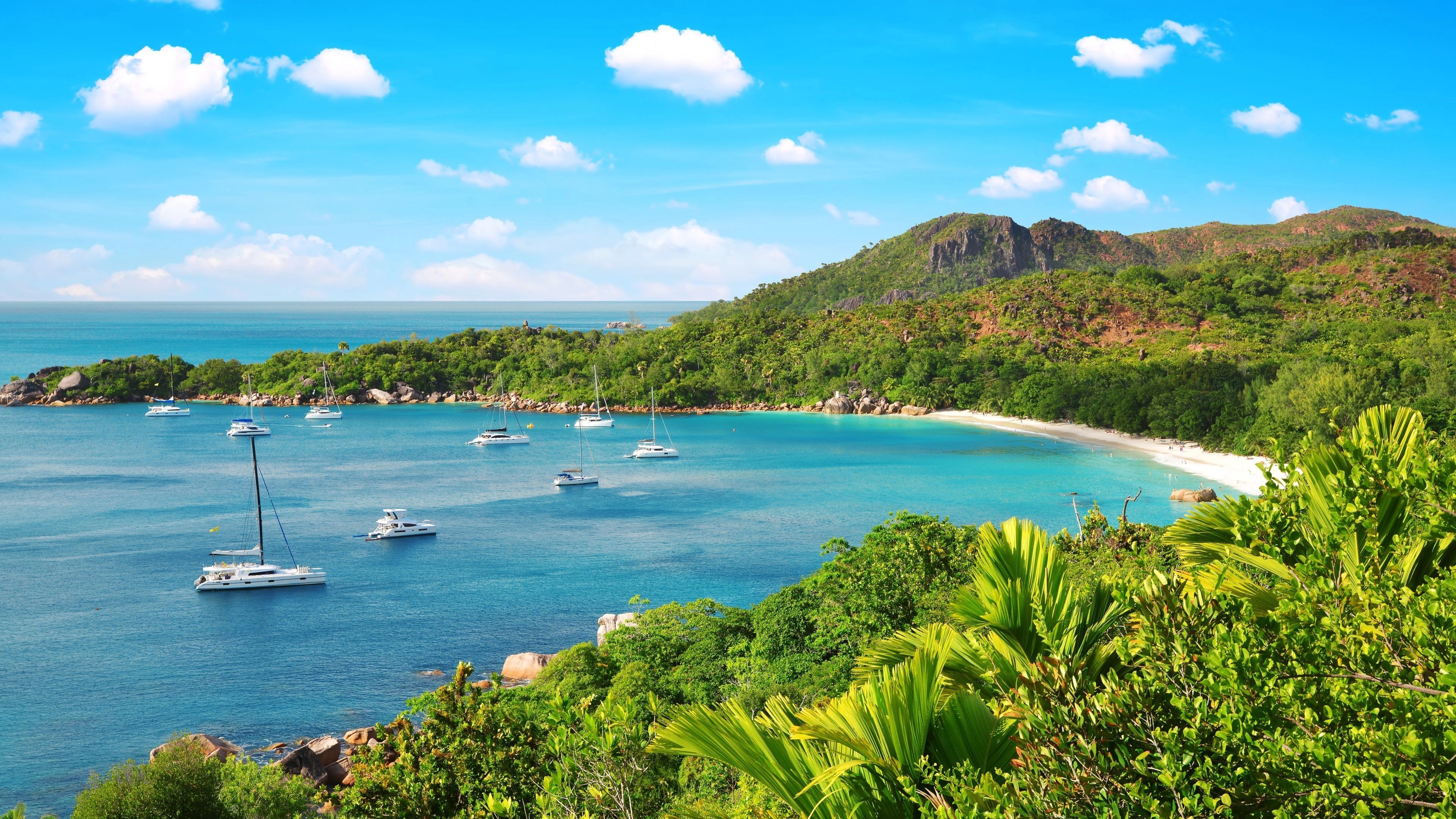 Africa Collection Holiday