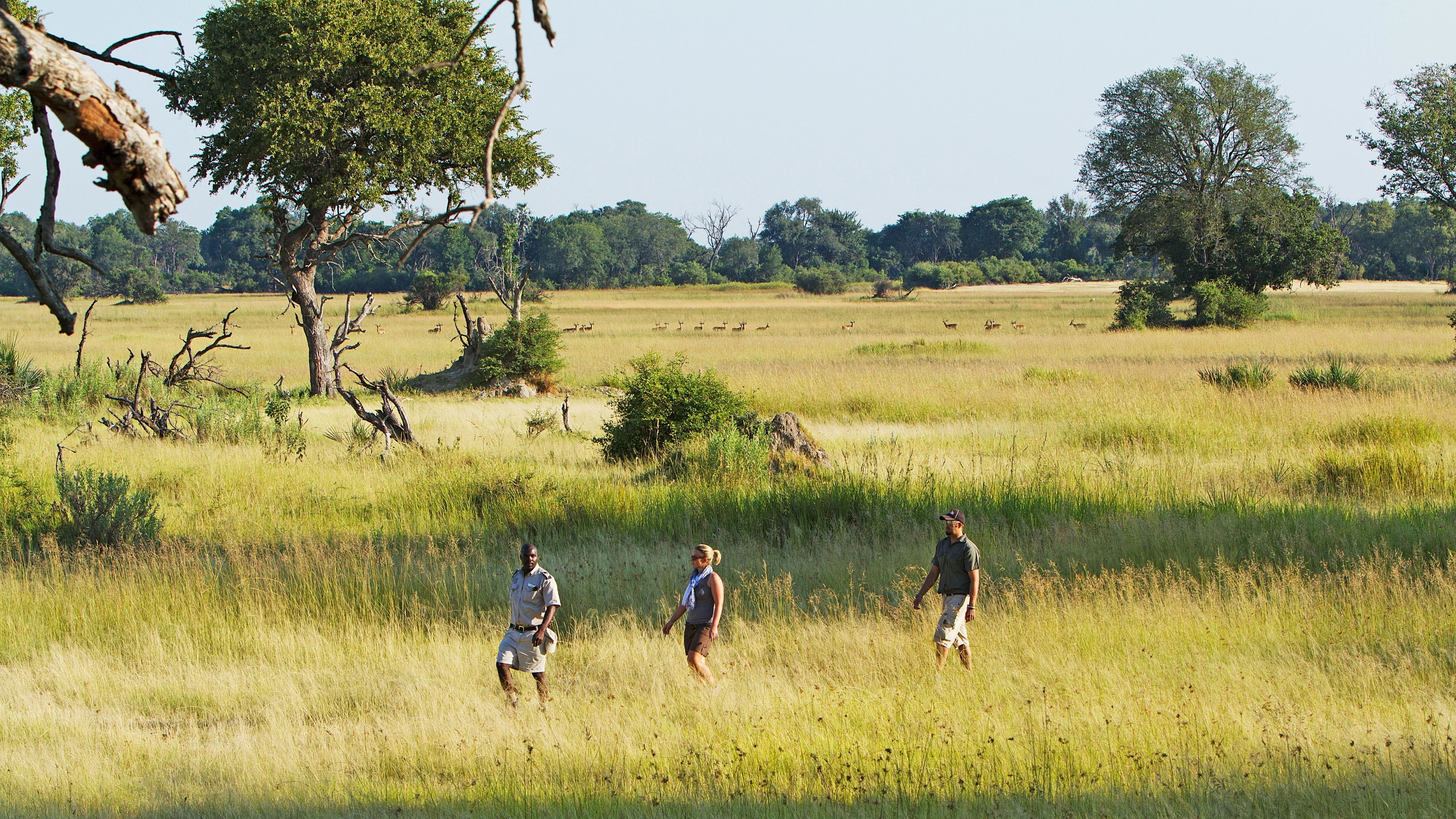 Africa Collection Holiday