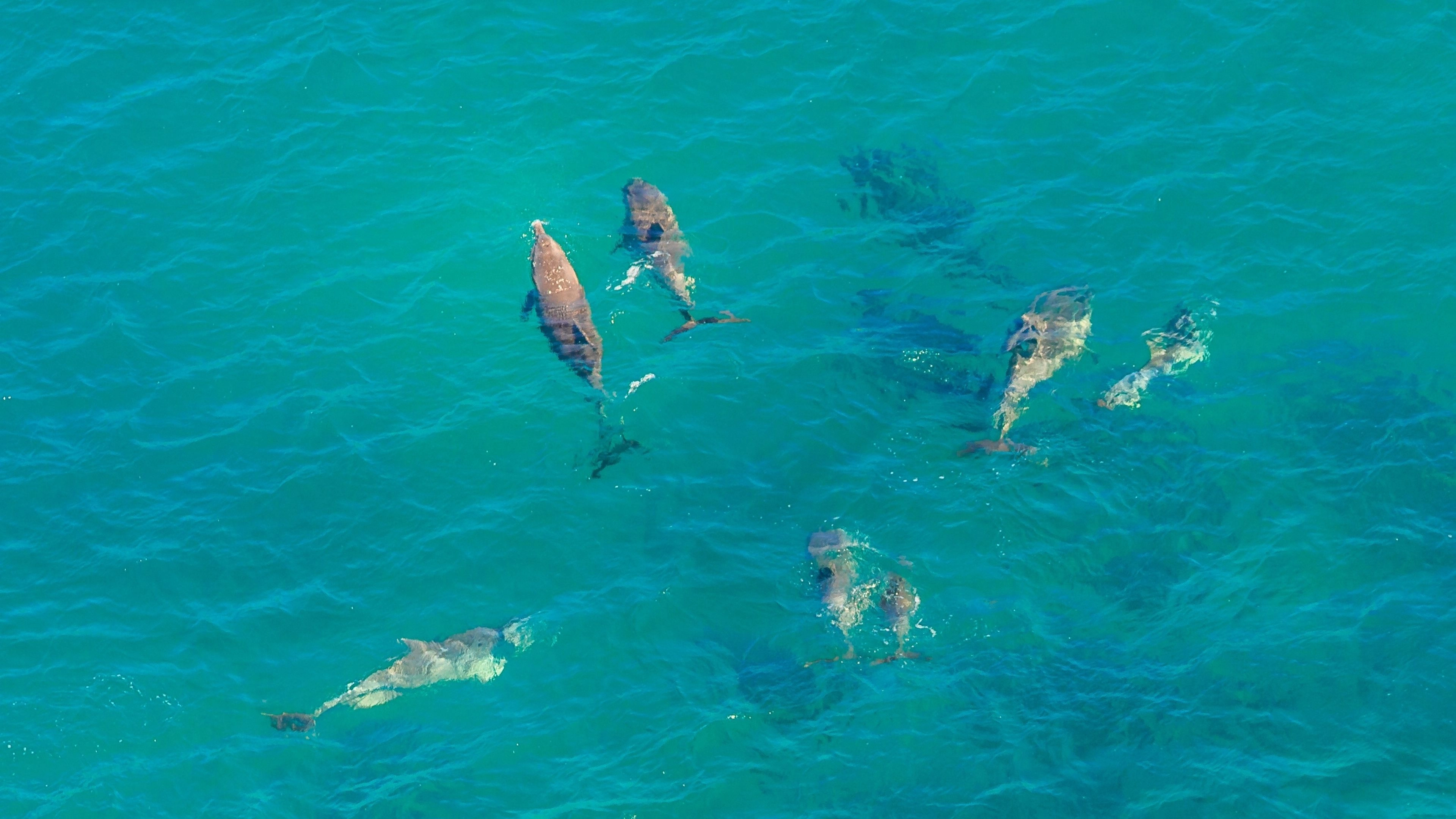 Africa Collection Holiday