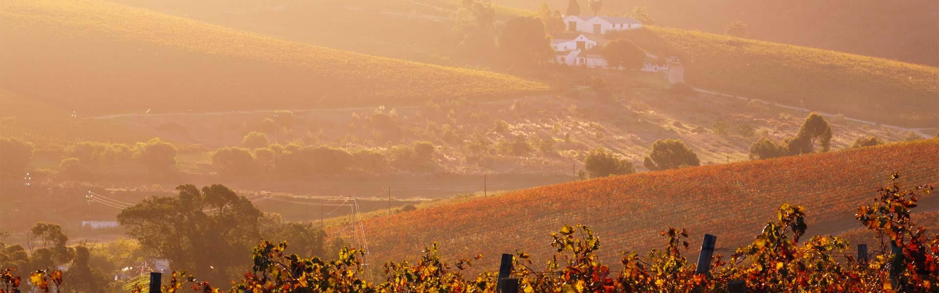 Africa Collection Holiday