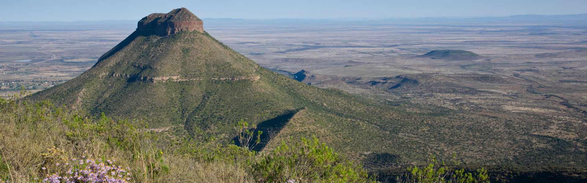 Africa Collection Holiday