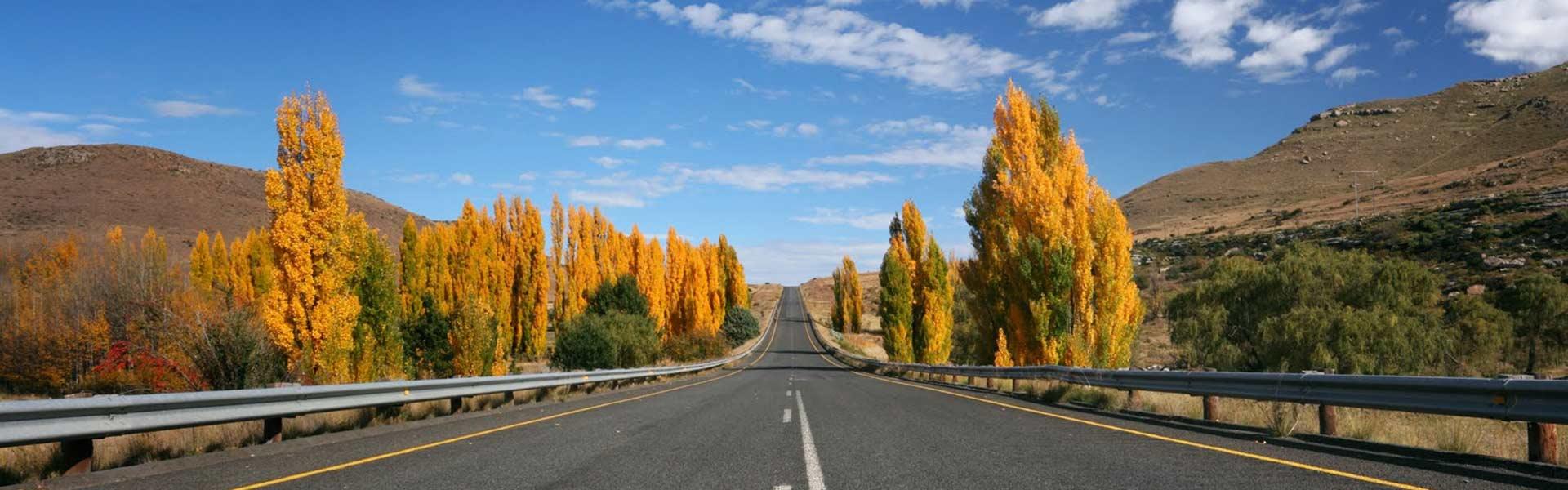 Africa Collection Holiday