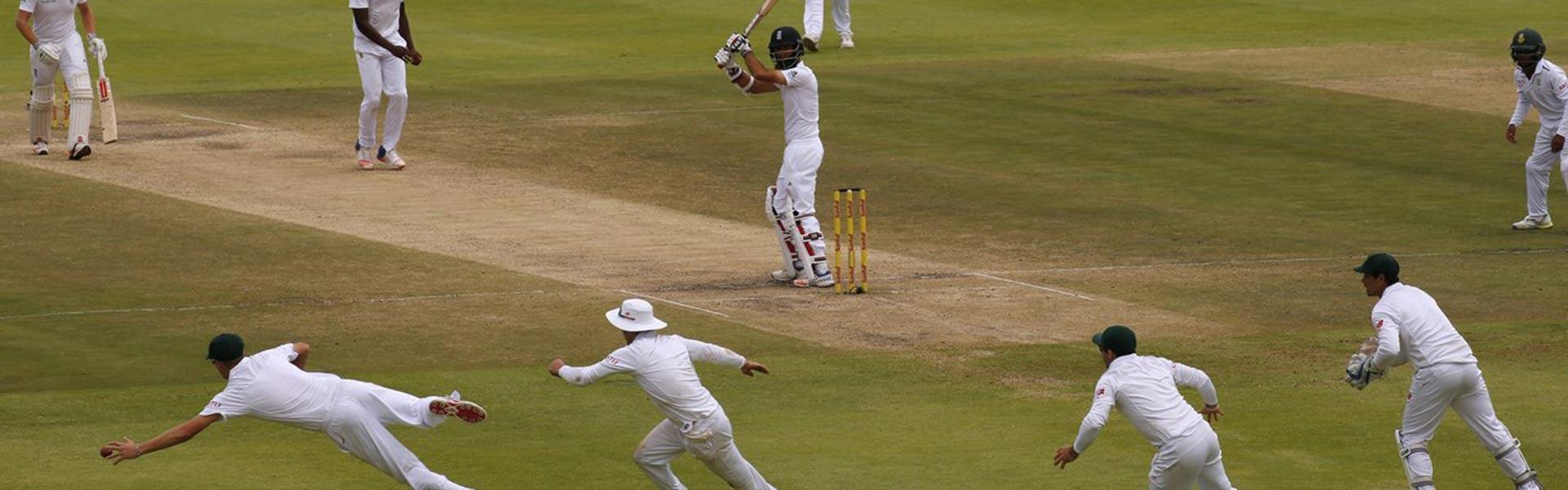 Africa Collection Holiday