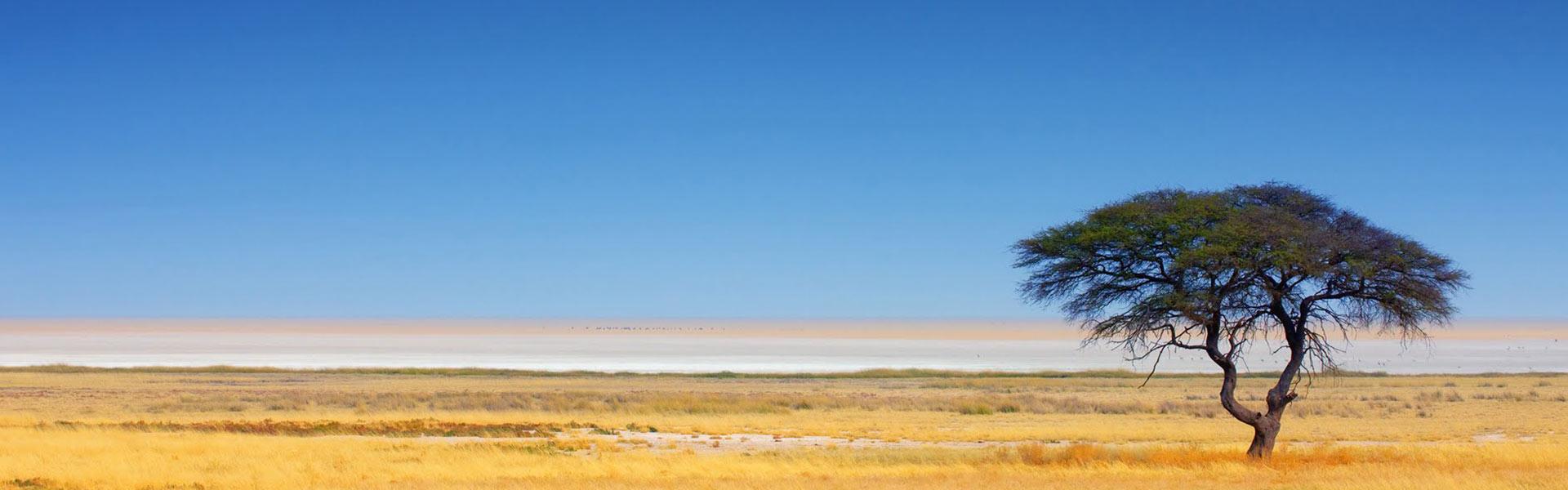 Africa Collection Holiday