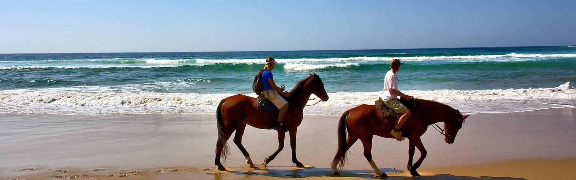 Africa Collection Holiday