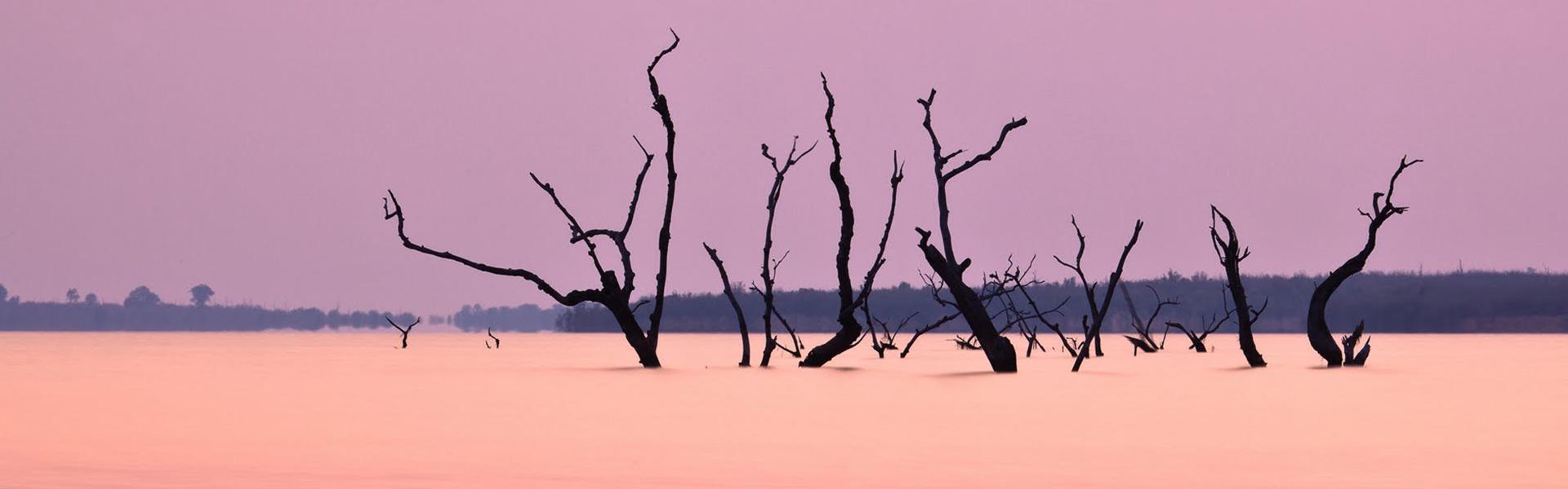 Africa Collection Holiday