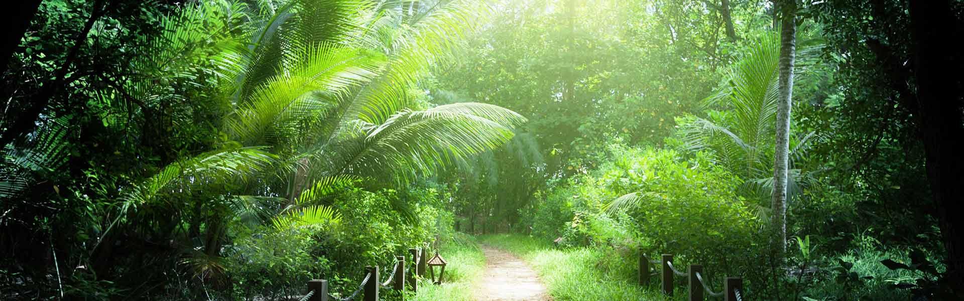 Africa Collection Holiday