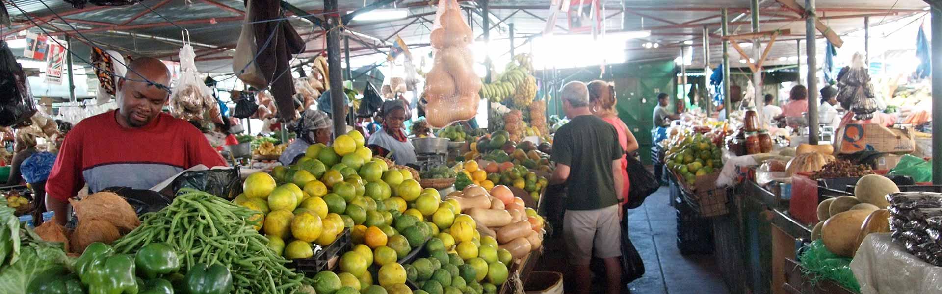 Africa Collection Holiday