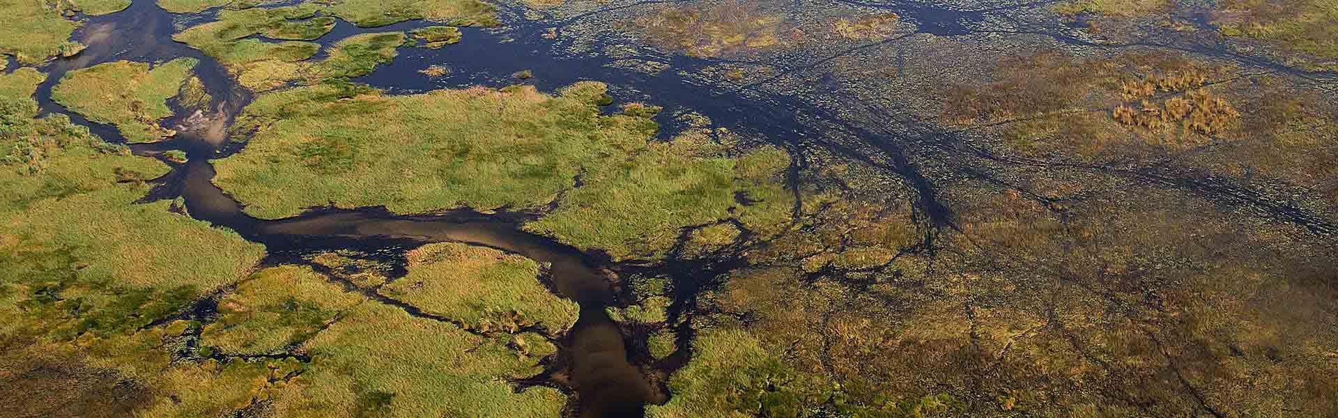 Africa Collection Holiday