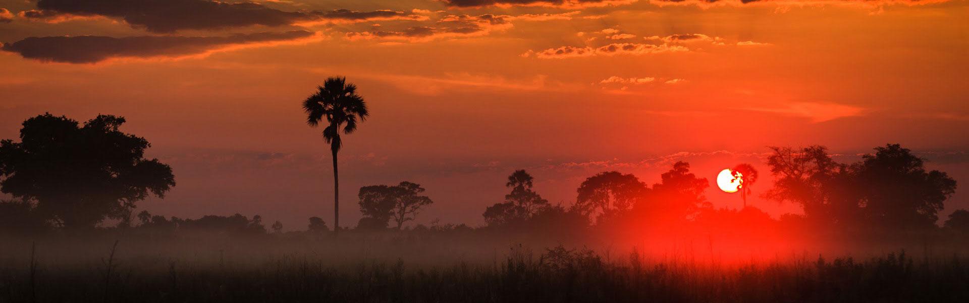 Africa Collection Holiday