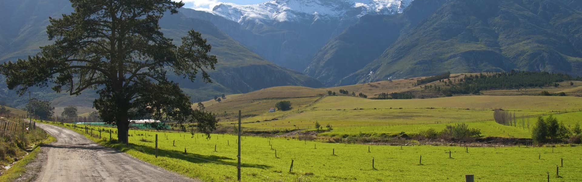 Africa Collection Holiday