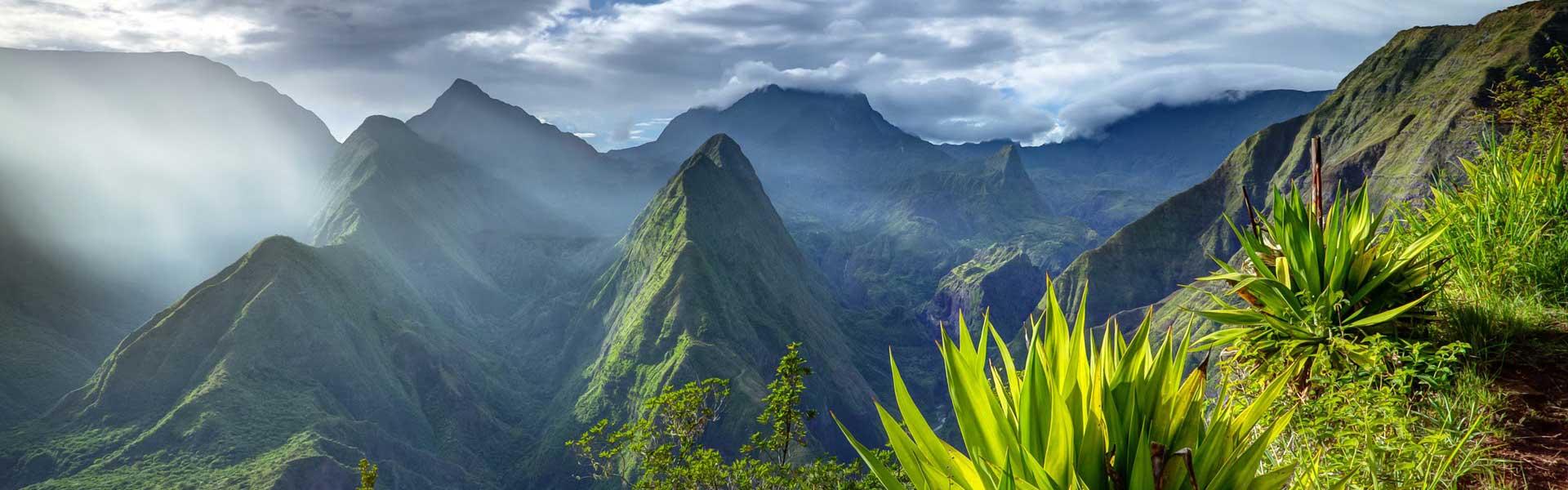 Africa Collection Holiday