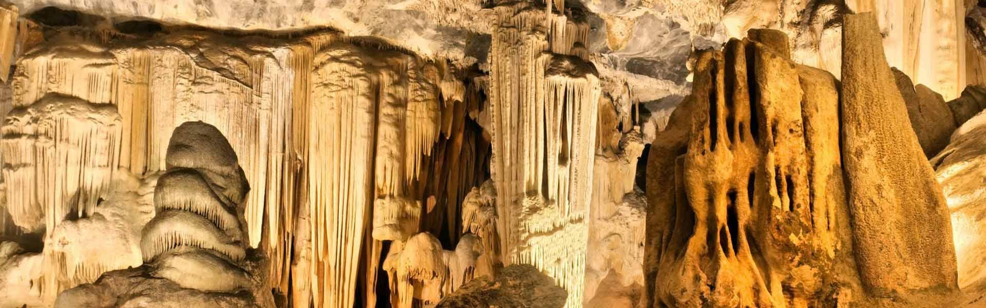 Africa Collection Holiday