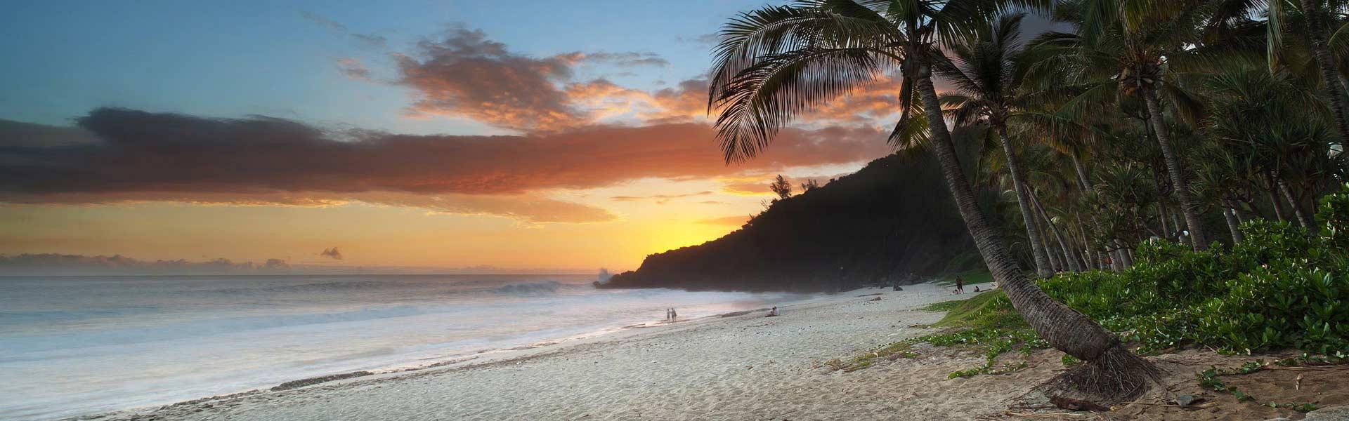 Africa Collection Holiday