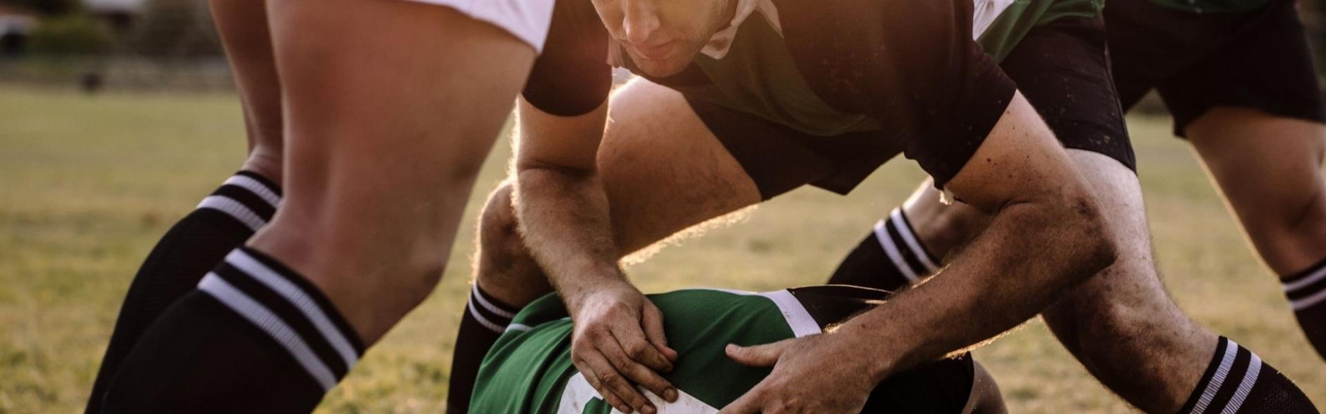 Africa Collection Holiday