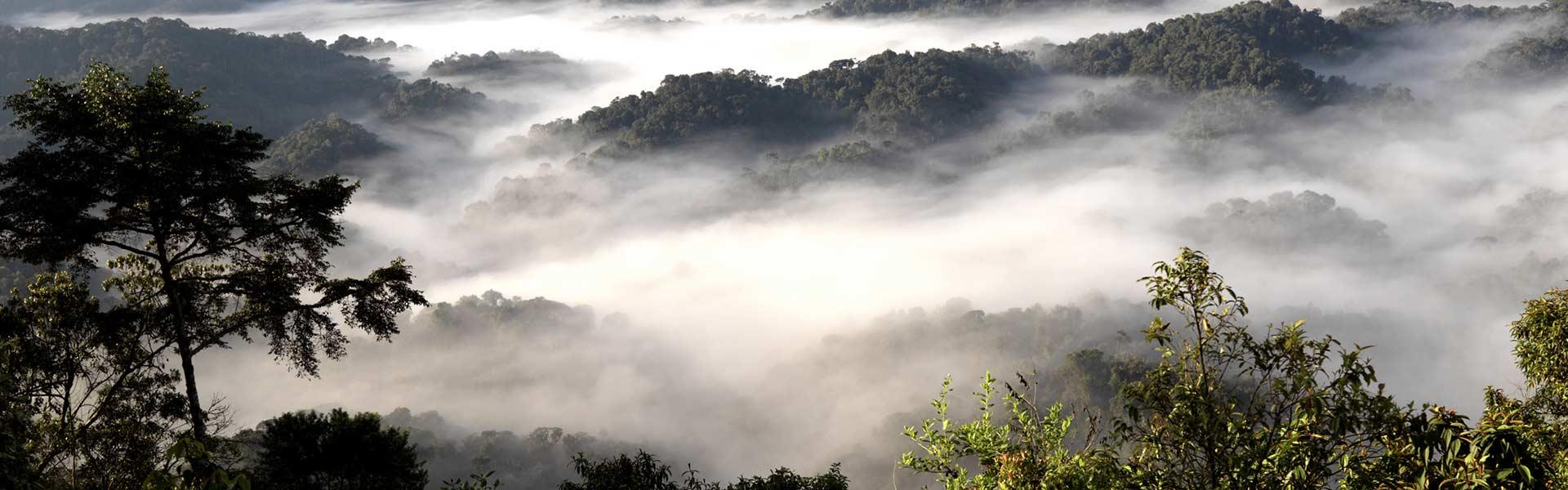 Africa Collection Holiday