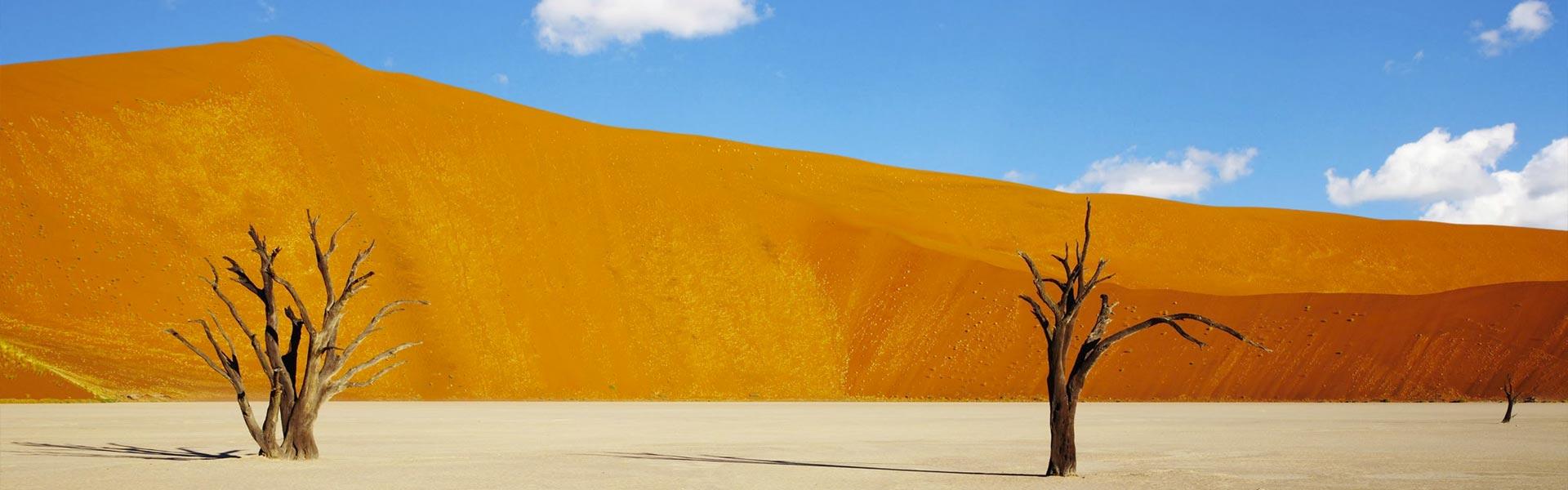 Africa Collection Holiday