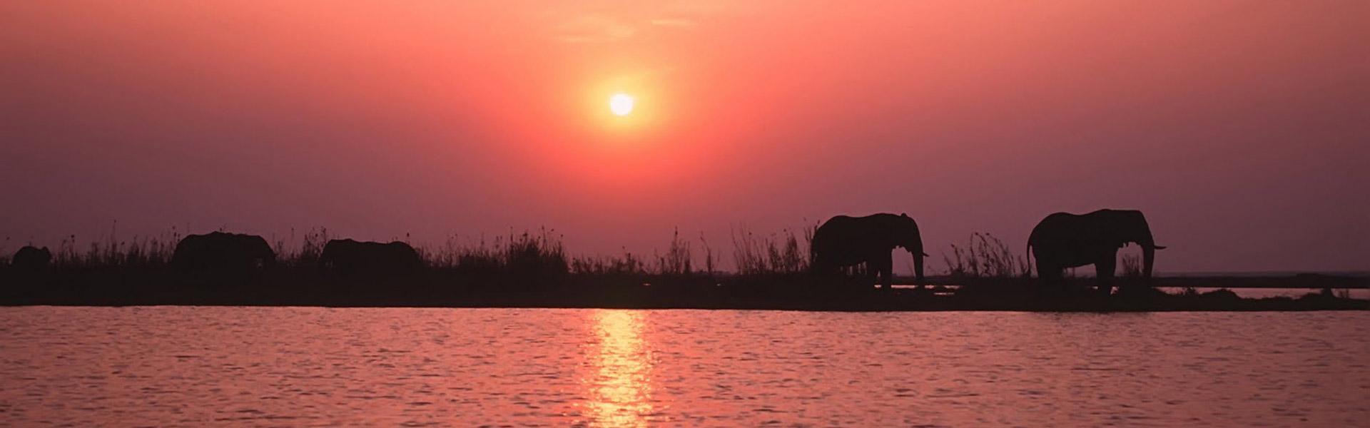 Africa Collection Holiday