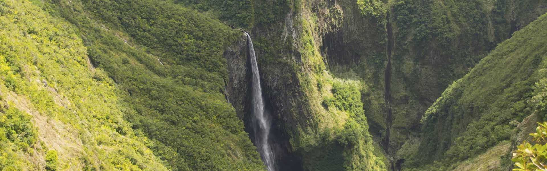 Africa Collection Holiday