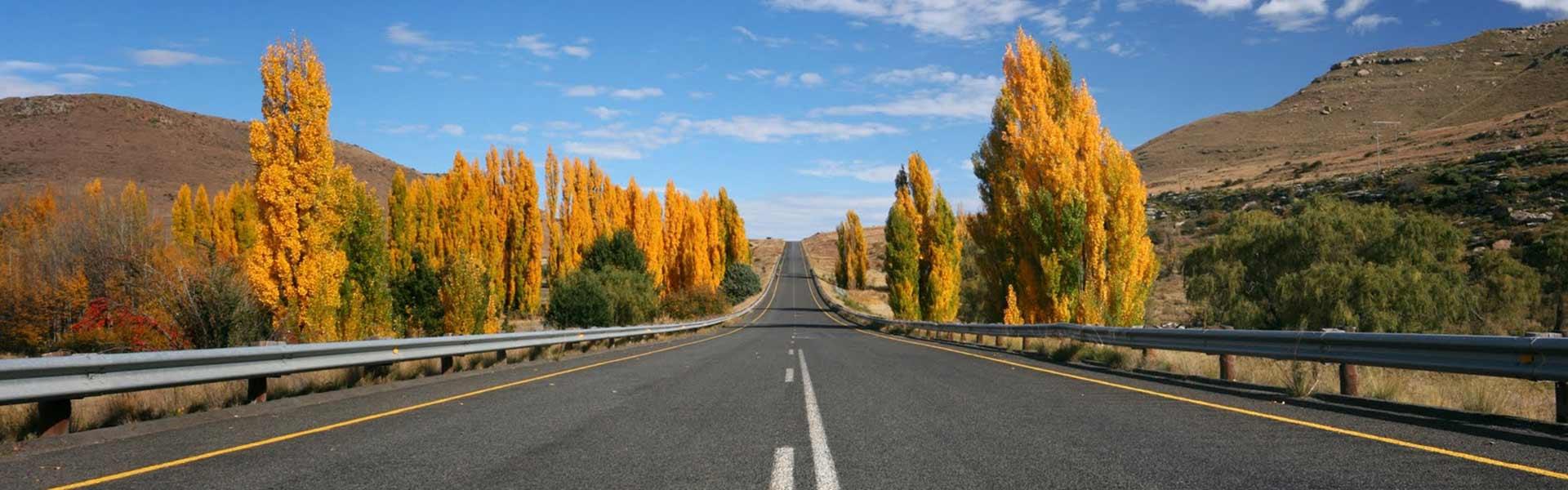 Africa Collection Holiday