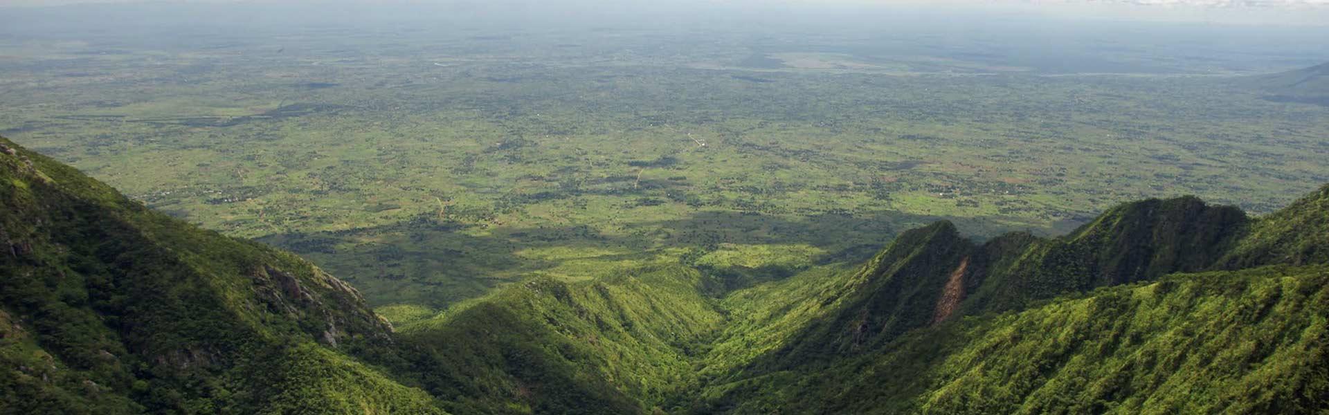 Africa Collection Holiday