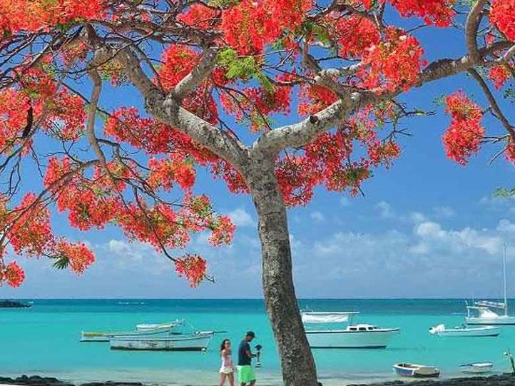 MAURITIUS PURELY BEACH