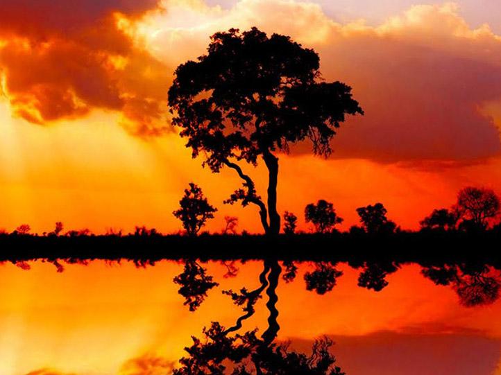 KRUGER SAFARI & MOZAMBIQUE