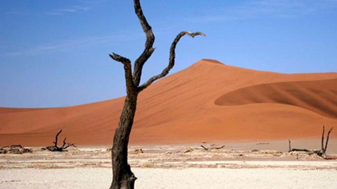SOUTHERN NAMIBIA & MAURITIUS